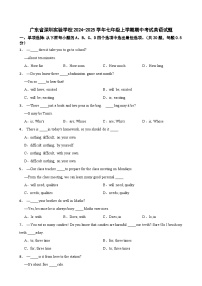 广东省深圳实验学校2024-2025学年七年级上学期期中考试英语试题