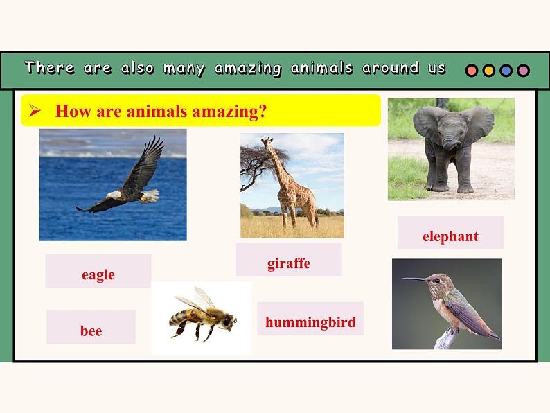 课件 Unit 5 Fantastic friends Starting out & Understanding Ideas (含音视频)2024新外研版七上第8页