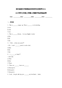 浙江省绍兴市新昌县农村初中五校联考2024-2025学年七年级上学期11月期中考试英语试卷(含答案)