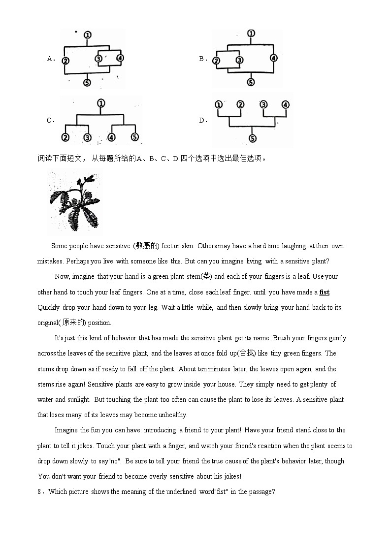 浙江省衢州市实验学校教育集团(衢州学院附属学校教育集团)2024-2025学年九年级上学期11月期中英语试题 -A4第3页