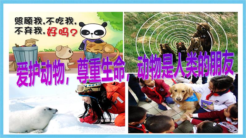 冀教版英语七下 UNIT8 Lesson44 课件第5页