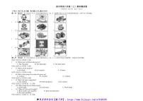 2024～2025学年仁爱科普版八年级(上)英语期末卷试卷(含答案)