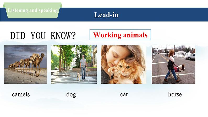 新外研英语七上Unit5 Developing ideas(Listening and speaking)课件第4页