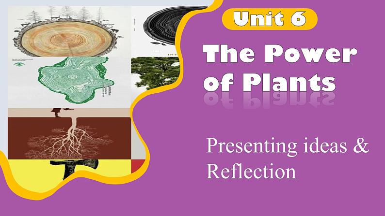新外研版初中英语七上Unit6 Presenting ideas Reflection课件第1页