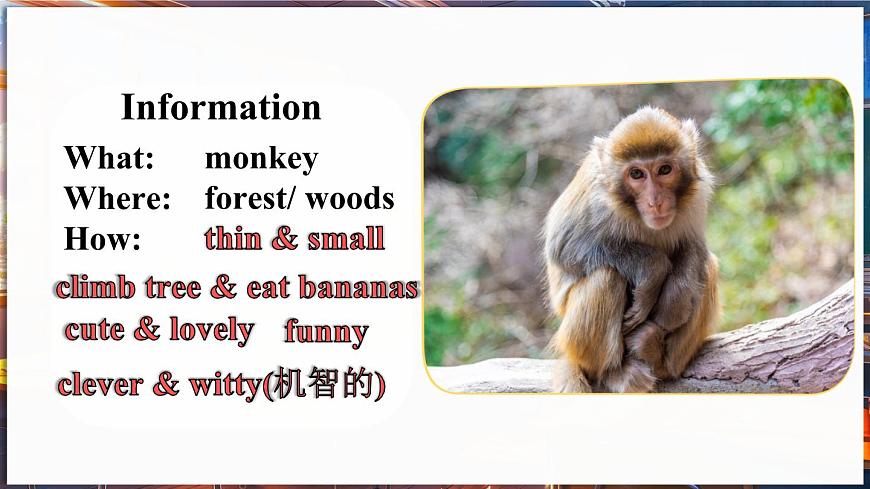 第1課時（Section A 1a- Pronunciation 2 ）第6頁