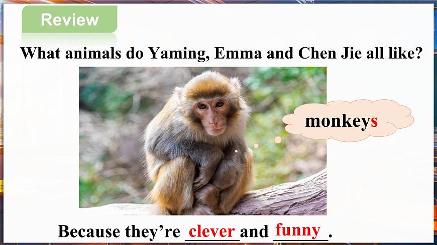 第2課時（Section A 2a-2f & Pronunciation 3）第2頁