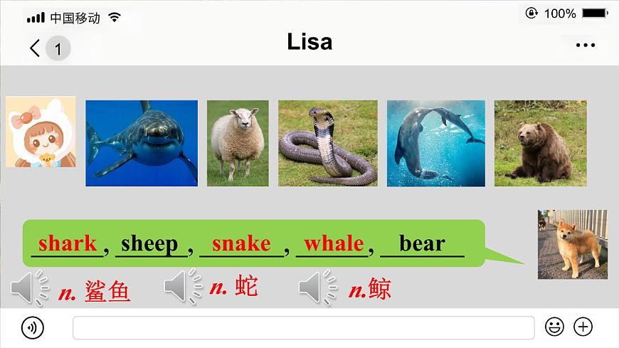 第3課時（Section A Grammar Focus 3a-3d）第5頁