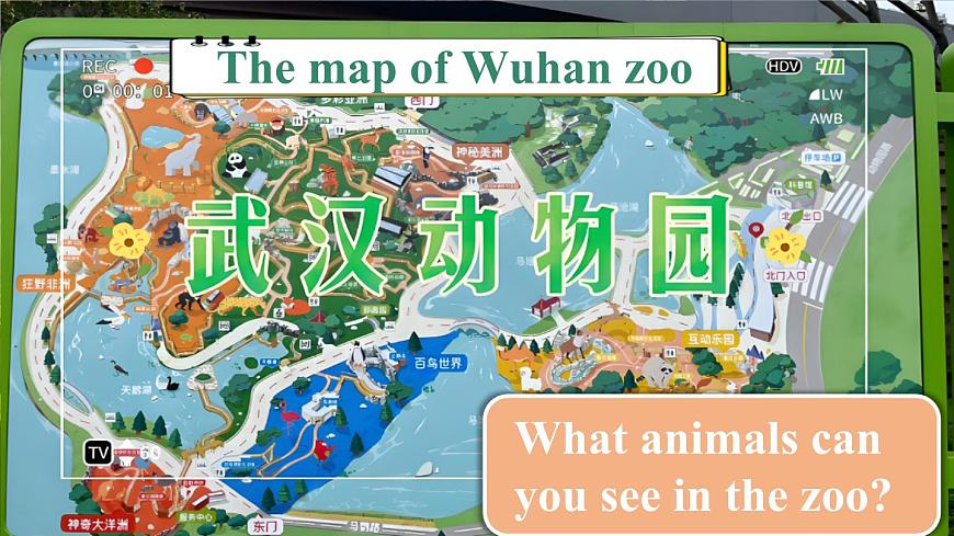 第6課時（Project & Reading Plus） 第3頁