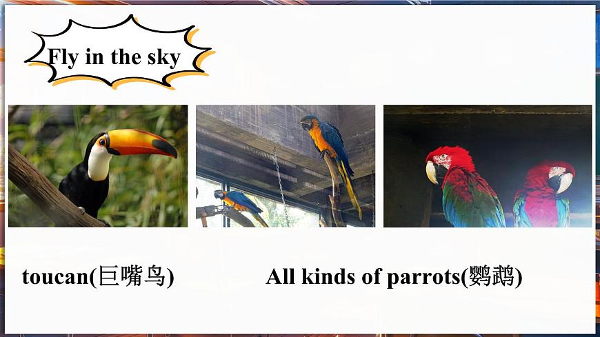 第6課時（Project & Reading Plus） 第7頁