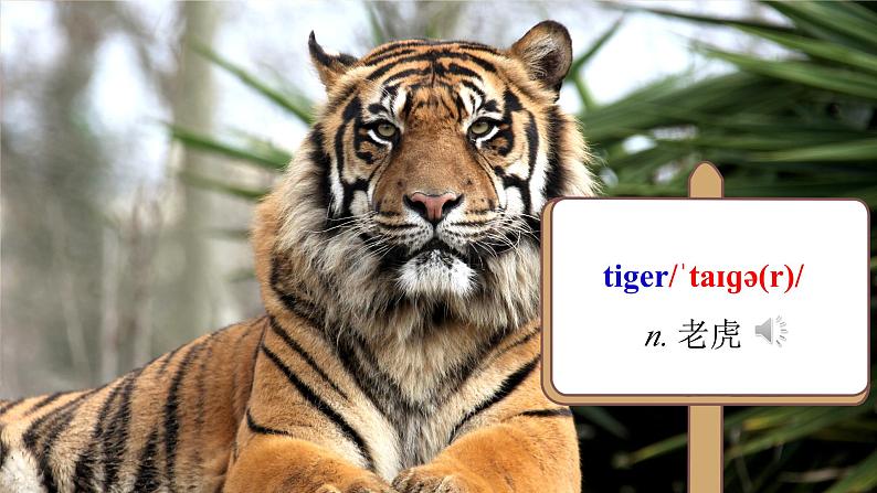 Unit1 Animal Friends! SectionA (1a-1d )第8页