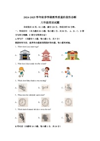 广东省惠州市博罗县2024-2025学年八年级上学期期末教学质量阶段性诊断 英语试题（含解析）