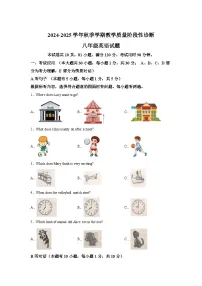 广东省惠州市博罗县2024-2025学年八年级上学期期末教学质量阶段性诊断 英语试题（含解析）