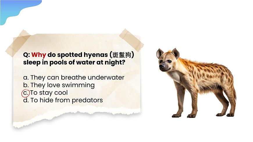 2024年人教版英語七年級 (下) - Unit 1 Section A -2 (Grammar Focus) 課件第6頁
