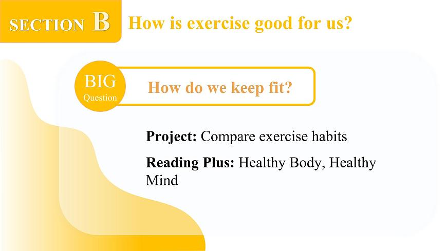 2024年人教版英語(yǔ)七年級(jí)(下) - Unit 3 Section B -2 (Reading plus + Project) 課件第2頁(yè)