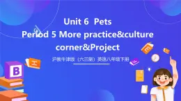 沪教牛津版（六三制）英语八下  Unit 6《 Pets》  第5课时More practice  课件+教案+分层练习（含答案）+音频