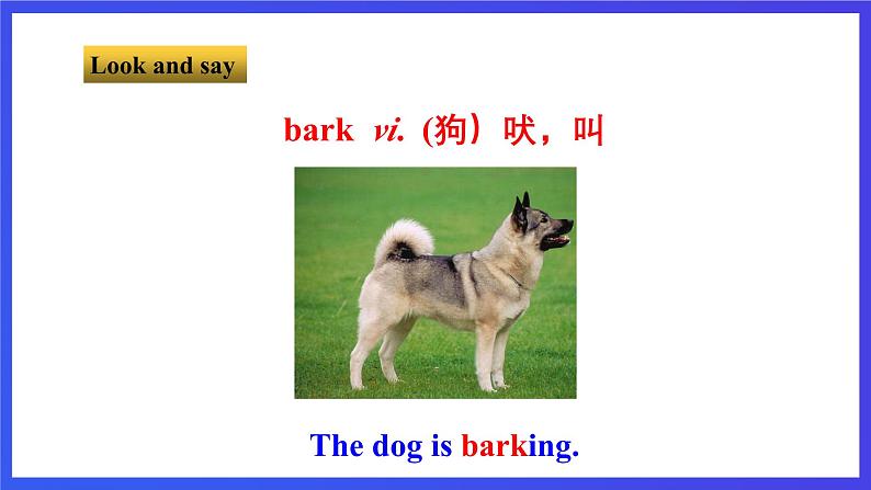 牛津译林版英语七下Unit8 Pets 第二课时 Reading 课件第6页
