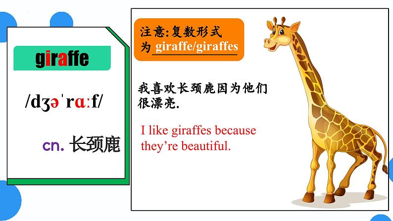 Unit1 Section A - 2024-2025学年初中英语七年级下册 同步词汇课件(人教版2024)第3页