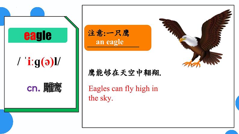 Unit1 Section A - 2024-2025学年初中英语七年级下册 同步词汇课件(人教版2024)第4页