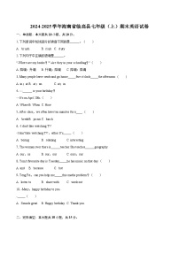 2024-2025学年海南省临高县七年级（上）期末英语试卷（含详细答案解析）