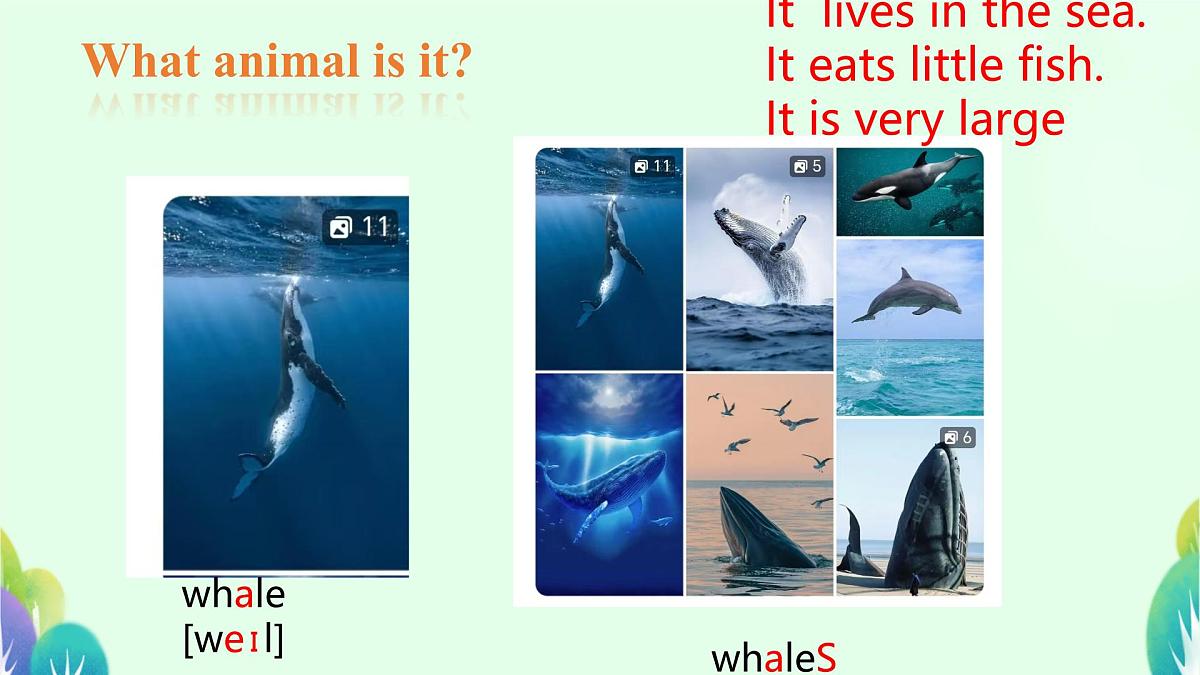 Unit 1 Animal Friends Section A 1a-1d (课件)人教版(2024)英语七年级下册第5页