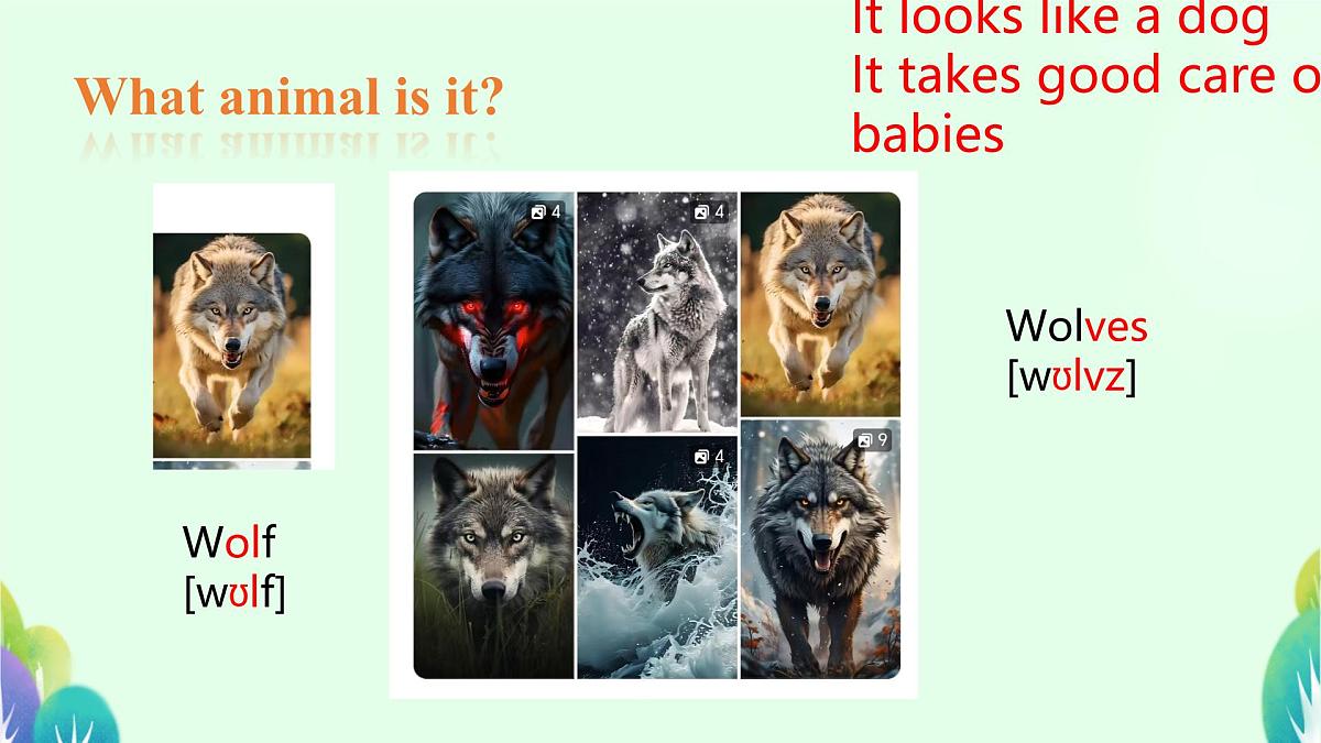 Unit 1 Animal Friends Section A 1a-1d (课件)人教版(2024)英语七年级下册第6页