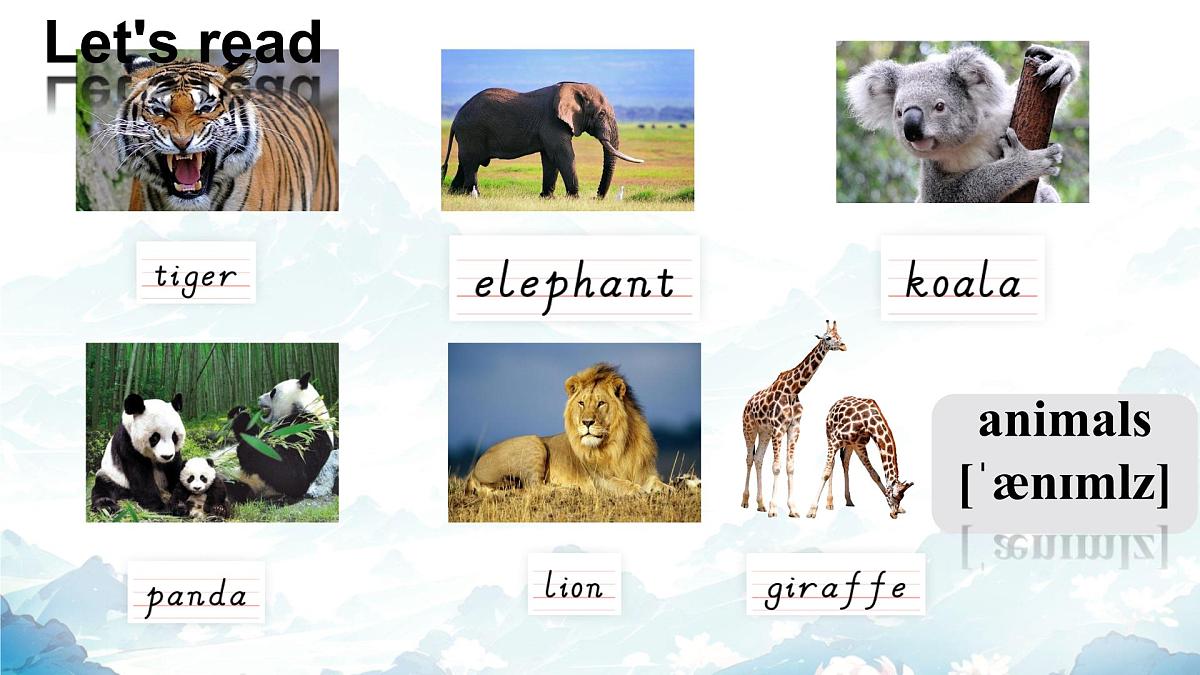 Unit 1 Animal Friends Section A 1a-1d (课件)人教版(2024)英语七年级下册第7页