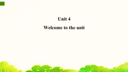 牛津譯林版初中英語 9B U4  Welcome 課件
