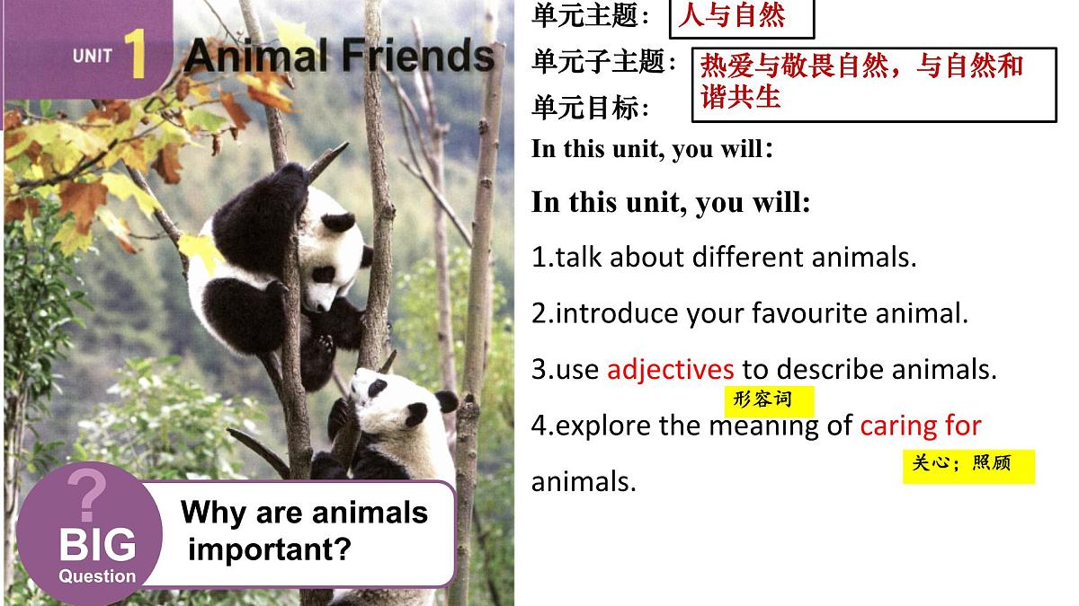Unit 1 Animal Friends Section A 1a-1d &Pronunciation(课件)人教版(2024)英语七年级下册第1页