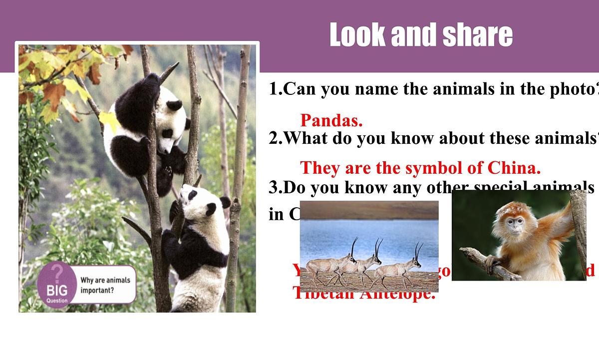 Unit 1 Animal Friends Section A 1a-1d &Pronunciation(课件)人教版(2024)英语七年级下册第2页