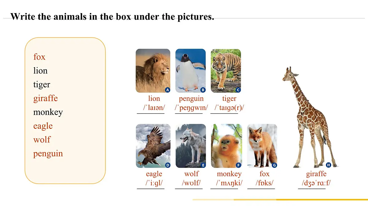 Unit 1 Animal Friends Section A 1a–1d, Pronunciation 3(课件)人教版(2024)英语七年级下册第4页