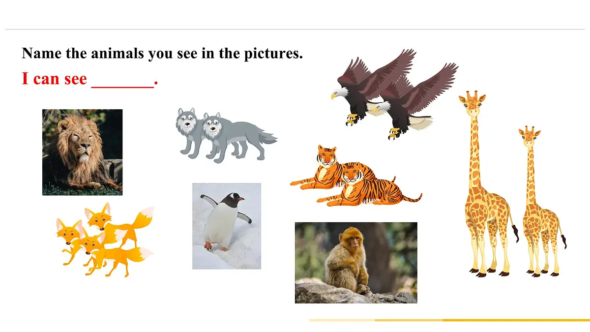 Unit 1 Animal Friends Section A 1a–1d, Pronunciation 3(课件)人教版(2024)英语七年级下册第5页