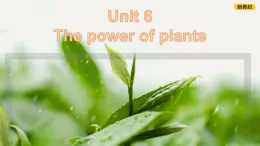 [优质阅读写作课课件】Unit6 power of plants Developing ideas reading for writing2024新外研七上英语