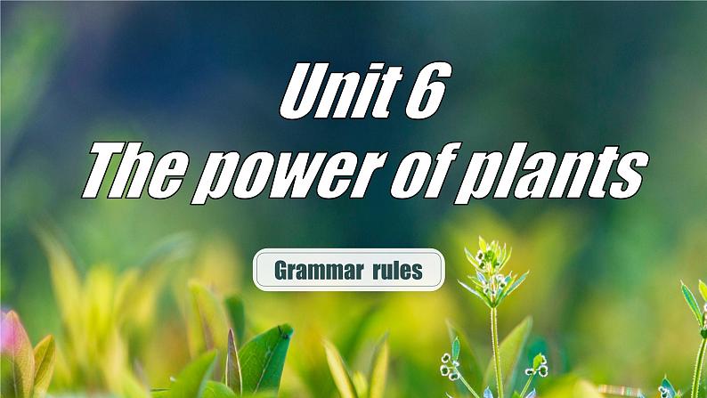 【优质语法公开课课件】Unit6 power of plants Understanding ideas Grammar rules 2024新外研版七上英语(含视频)第1页