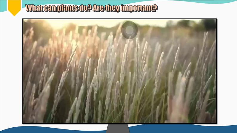【优质语法公开课课件】Unit6 power of plants Understanding ideas Grammar rules 2024新外研版七上英语(含视频)第3页
