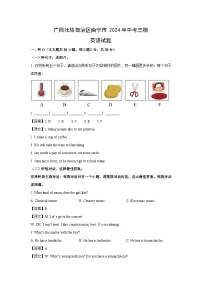 广西壮族自治区南宁市2024年中考三模英语试卷（解析版）