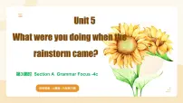 初中人教版（2024）Unit 5 What were you doing when the rainstorm came? Section A图片ppt课件