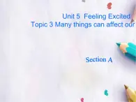 Unit 5Feeling Excited Topic 3 Section A課件  仁愛(ài)版英語(yǔ)八年級(jí)下冊(cè)
