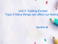 Unit 5Feeling Excited Topic 3 Section B課件  仁愛(ài)版英語(yǔ)八年級(jí)下冊(cè)