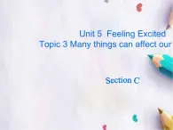 Unit 5Feeling Excited Topic 3 Section C課件  仁愛(ài)版英語(yǔ)八年級(jí)下冊(cè)
