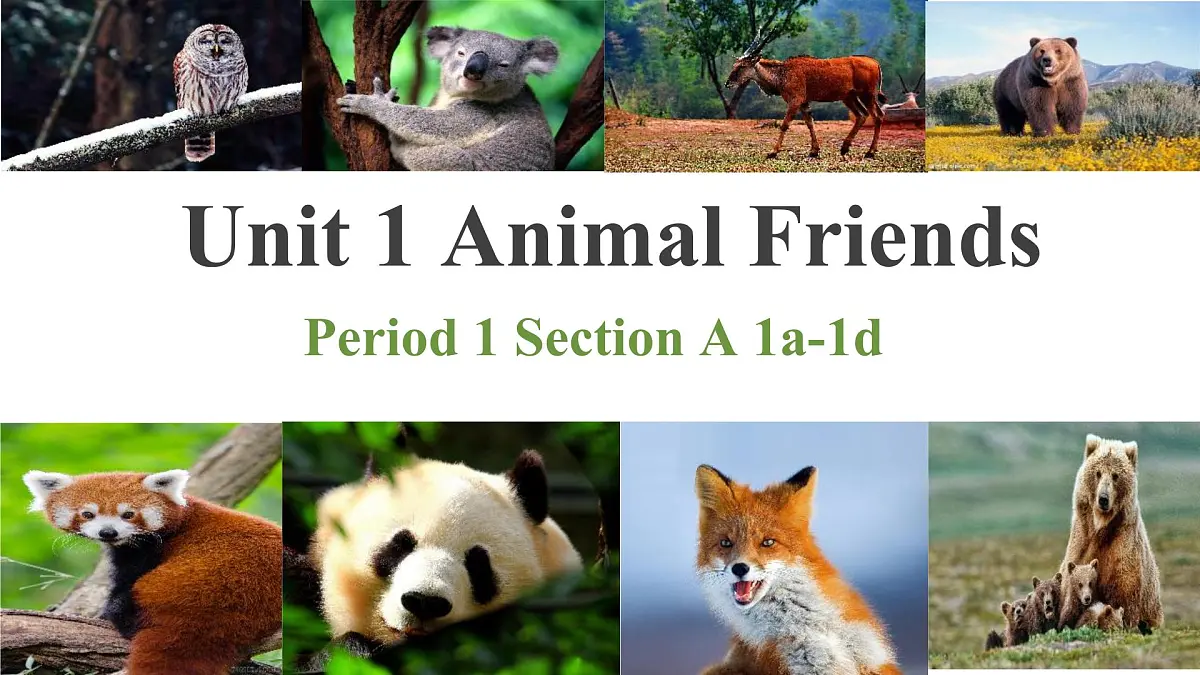 2024版人教版七年级英语下册Unit 1 Animal friends Section A(1a-1d)参同步课件第1页