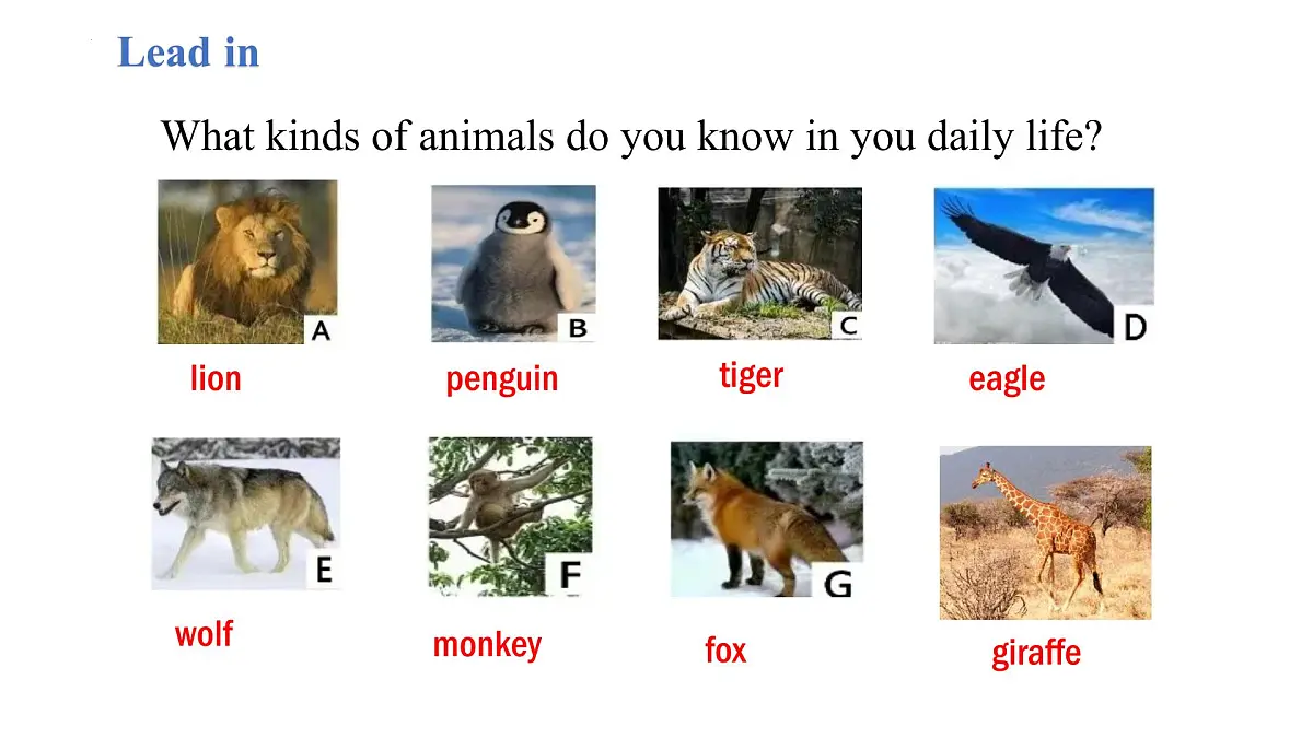 2024版人教版七年级英语下册Unit 1 Animal friends Section A(1a-1d)参同步课件第4页