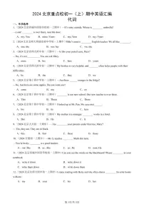 2024北京重点校初一（上）期中真题英语汇编：代词