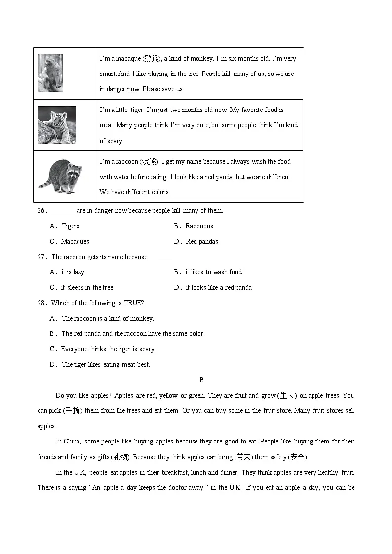 七年级英语下学期期中模拟卷(河北专用)(2025最新中考题型)-2024-2025学年七年级英语下学期期中复习查缺补漏冲刺满分(人教版2024)第3页