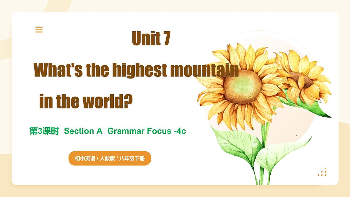 Unit 7 第3课时 Section A Grammar Focus-4c(同步课件)-2024-2025学年八年级英语下册(人教版2024)第1页