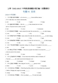 2025中考復習專題01 名詞-三年（2022-2024）中考英語真題分類匯編（全國通用）