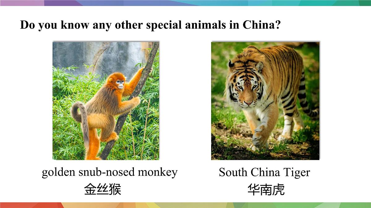 人教版2024七年级下册英语U1 课时1 Section A (1a-1d) pronunciation 课件第7页