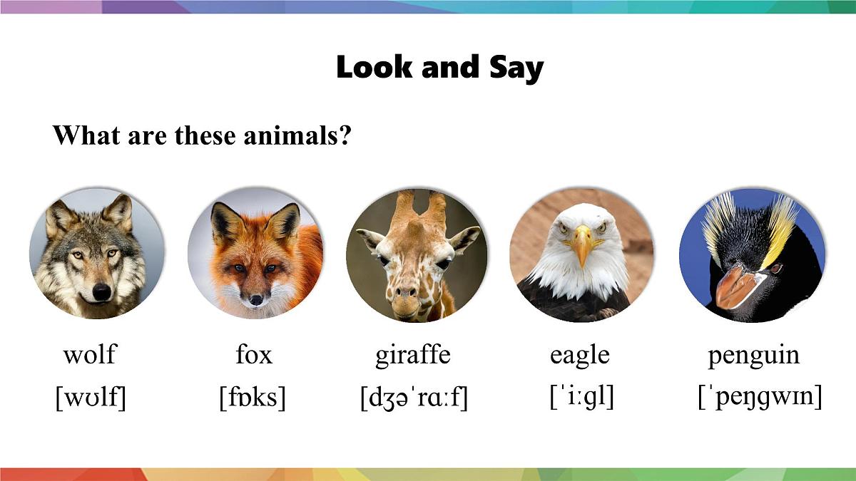 人教版2024七年级下册英语U1 课时1 Section A (1a-1d) pronunciation 课件第8页