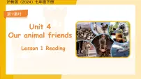 初中英语沪教牛津版(2024)七年级下册(2024)Unit 4 Our animal friendsSection 1课前预习课件ppt