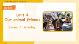 Unit 4  Our animal friends Lesson 2 Listening课件  英语沪教版（2024）七年级下册
