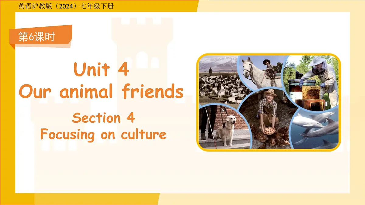 Unit 4Our animal friends Section 4课件 英语沪教版(2024)七年级下册第1页